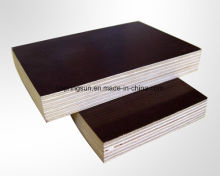 20mm Film Faced Plywood