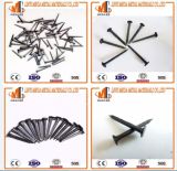 China Nails Factory Supply Three Star Brand Shoe Tacks