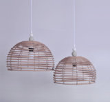 Lampshade Without Light