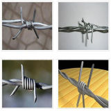 Galvanized Barbed Wire