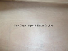 Marine Plywood / Commercial Plywood