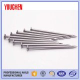 Good Quality Q195 Common Nail/Wire Nail Factory