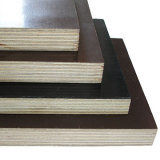 Various Film Faced Plywood in Linyi