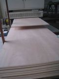 Poplar Core, Okoume Face/Back Plywood