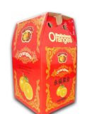 Fruits Packing Box (XINGHUA-005)