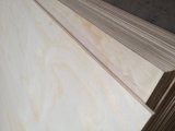 Higher Grade Radiata Pine Plywood for Furniture