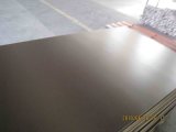 Concrete Construction Plywood