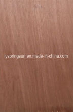 Bingtangor, Pencil Ceder, Okoume Face Commercial Plywood