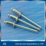 China Supplier Plastic Rivet / Blind Rivet