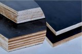 Film Faced Plywood Manufacturer From Shandong