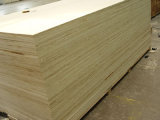 Birch Plywood (6)