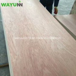 1250X2500mm Oversize BB/CC Grade Bintangor Plywood for Decoration