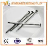 China Nails Factory Common Nail for Construction Top Quality Bright Polished Common Nail