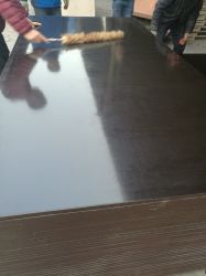 Good Quality Film Faced Plywod From Better Quality Wood