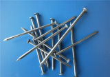High Quality Free Sample Common Coil Nail Export Hot