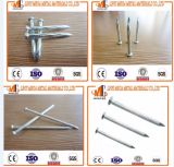 The Factory Wholesale High Quality Hardened Steel Galvanized Concrete Nails