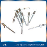 China Manufacturer High Quality Aluminum Blind Rivets