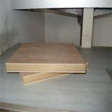 Film Faced Plywood Eucalyptus Core