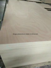 Plywood / Commercial Plywood/ Okoume Plywood