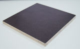 Film Faced Plywood (XN-FFP02)