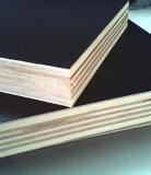 Black Film Faced Plywood Offering with Lowest Price