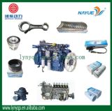 Weichai Power Diesel Engine Assy & Spare Parts