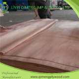 a and B and C and D Grade Thickness 0.15-0.50mm Okoume Face Veneer and Okoume Venner with Cheaper Pr
