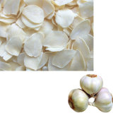 2011 Dehydrated Garlic Flakes (OYAD-001/002/003)