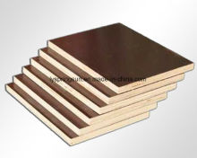 Brown and Black Film Faced Plywood