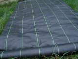 Black PP Woven Fabric