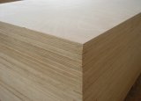 Okoume Plywood