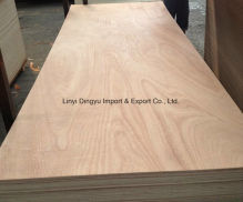 High Quality Plywood / Commercail Plywood