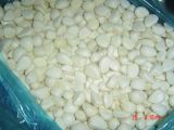 Frozen Peeled Garlic Clove /Segment