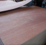 Veneer Face Commercial Plywood for Construction/Decoration and Furniture