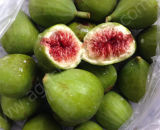 IQF Fig or Frozen Fig