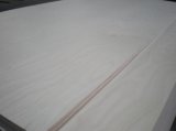 White Birch Plywood