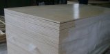 Birch UV Plywood for Furniture