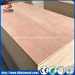 1250*2500 Oversize Pencil Cedar Veneered Poplar Plywood for Europe