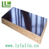 Film Faced Plywood (2)