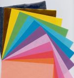Various Sizes of Color Paper (A4, A3 8.5*11, 8.5*13, 8.5*14, 11*17)