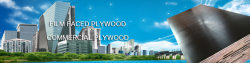 Shuttering Film Faced Plywoods for Concrete