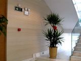 Excellent WPC Wall Panel
