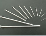 Nails, Good Quality Common Nails Ploished (1/2"-6")