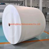 Polyester Spunbond Roofing Membrance Carriers