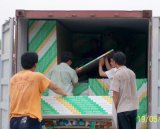 Gypsum Board (XN-G01)