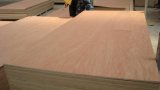 Commercial Plywood Carb E0 Birch Plywood for Sale