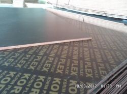 18mm Korinplex Film Faced Plywoods for Shuttering