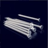 Low Price Concrete Nail with High Quality / #45 Concrete Nail