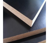 9mm poplar core processed film faced plywood