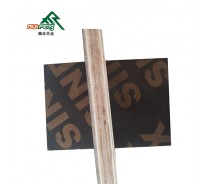 Linyi Black / Brown film faced plywood for construction